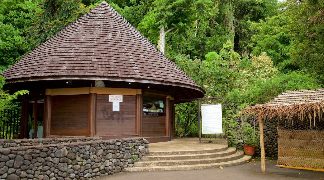 The Water Gardens of Vaipahi featuring tropical scenes