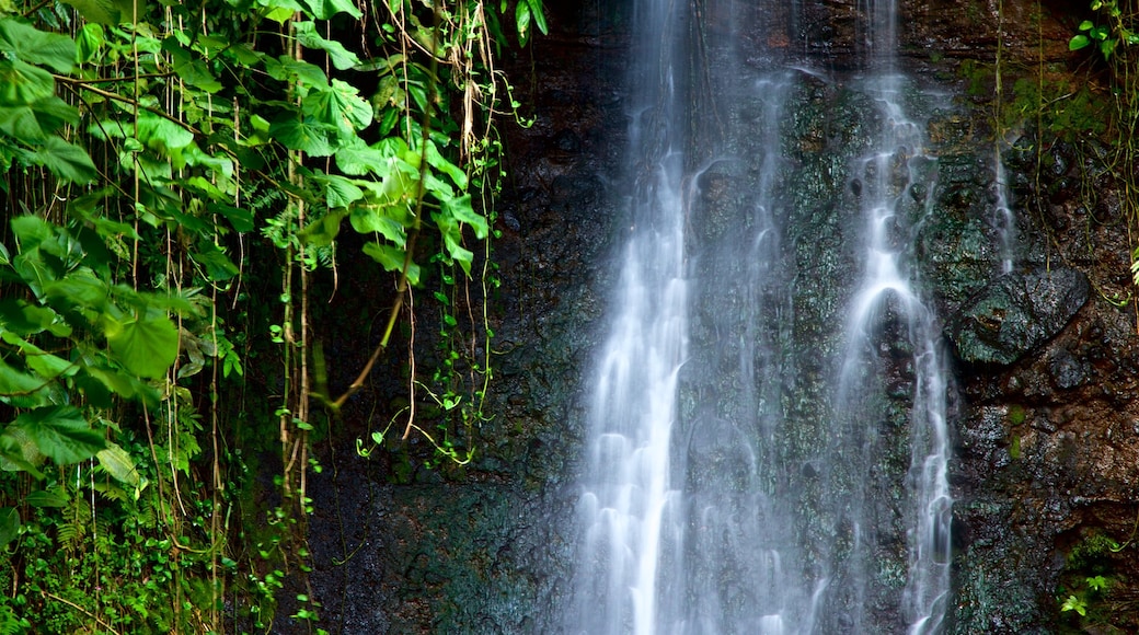 Jardines de agua de Vaipahi mostrando una cascada