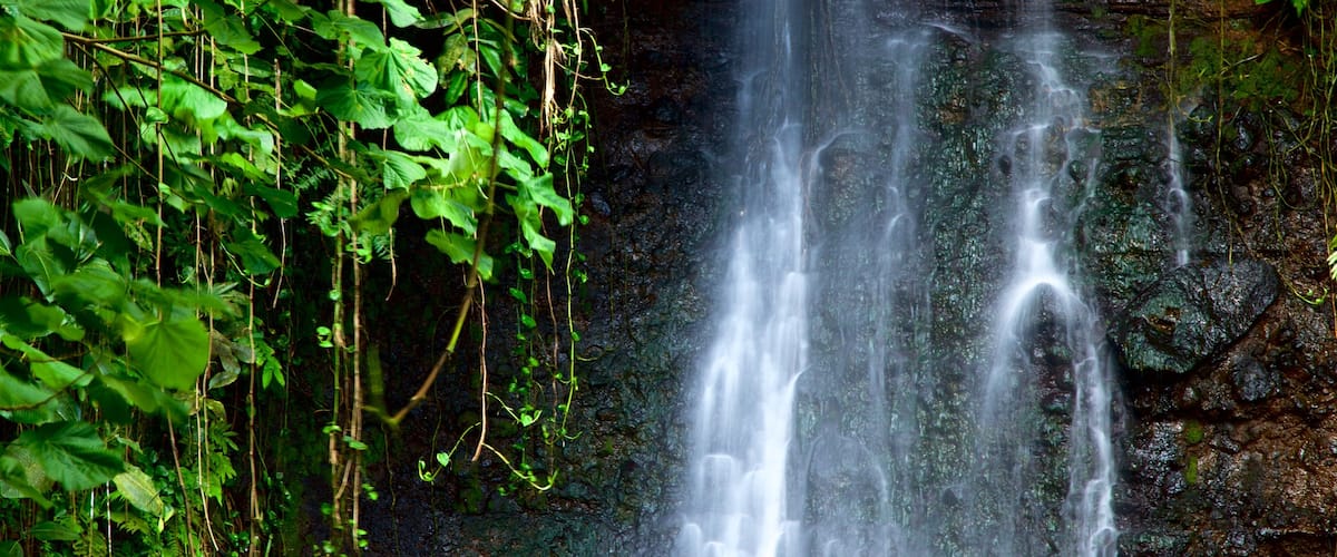 Jardines de agua de Vaipahi mostrando una cascada