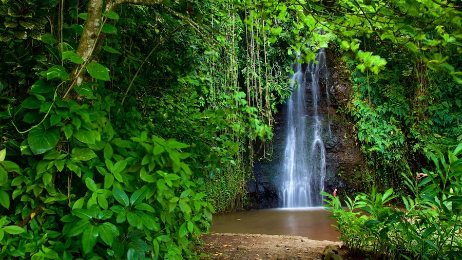 Jardines de agua de Vaipahi que incluye un río o arroyo, bosques y una catarata