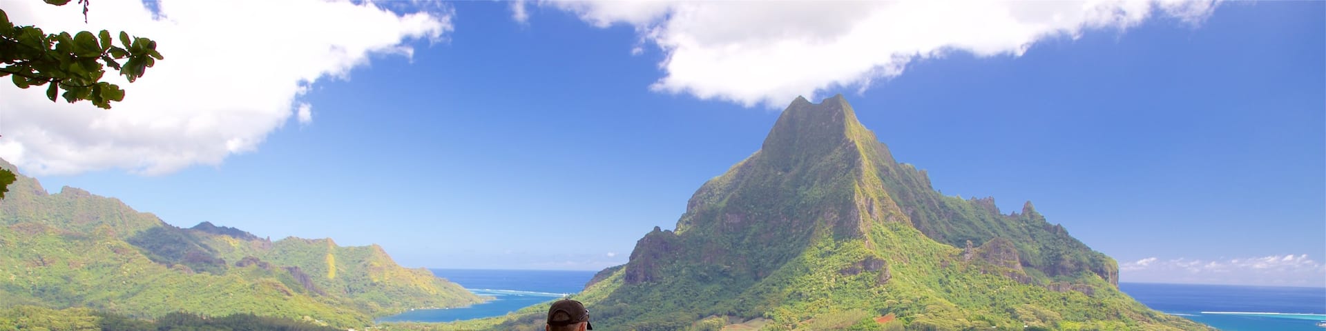 Belvedere Lookout featuring tranquil scenes, views and mountains
