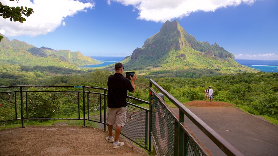 Belvedere Lookout featuring tranquil scenes, mountains and views
