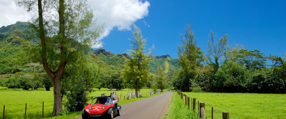 Moorea showing tranquil scenes