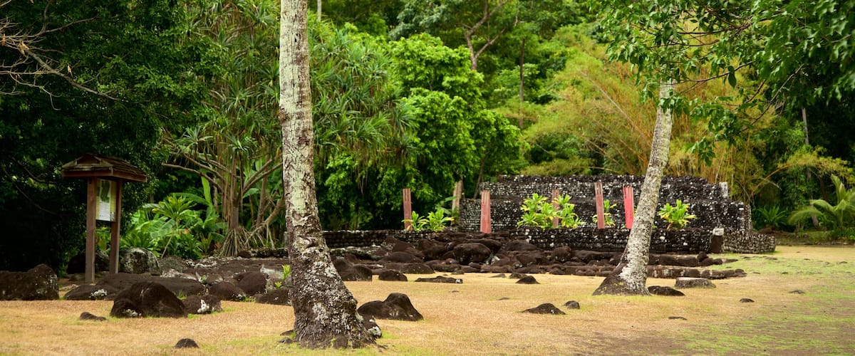 Marae Arahurahu Temple showing forest scenes
