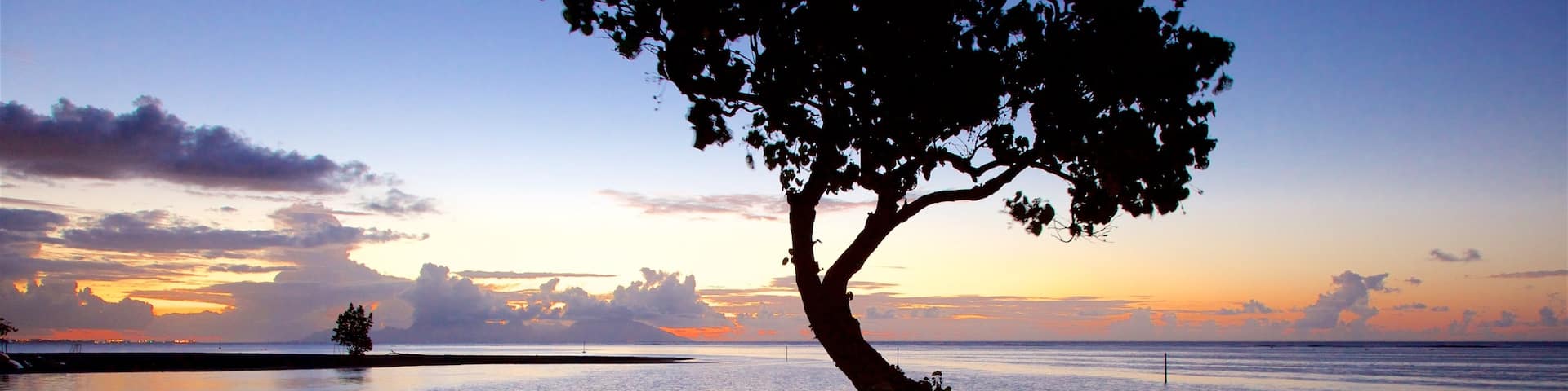 マヒナ フィーチャー 海岸線の眺め と 夕焼け
