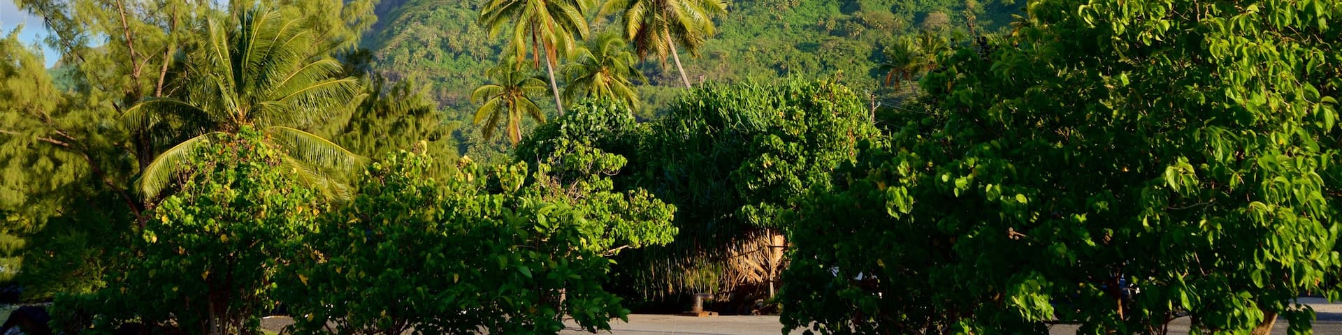 Mt. Otemanu mostrando montagna e paesaggio tropicale