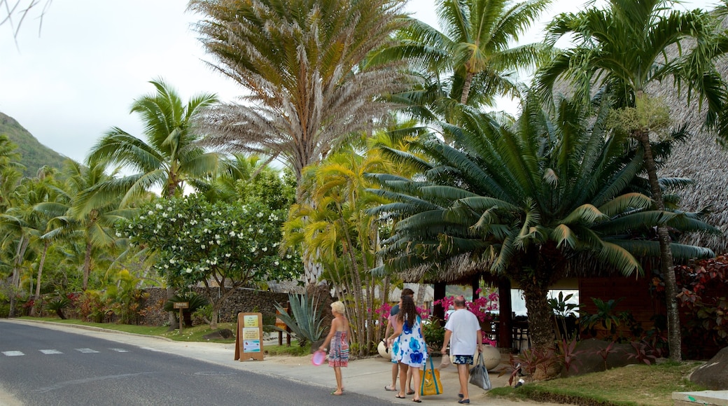 Matira Point featuring tropical scenes as well as a family