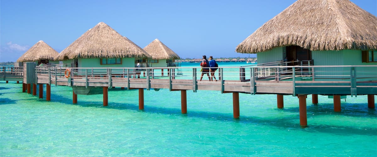 Le Méridien que inclui paisagens litorâneas e cenas tropicais assim como um casal