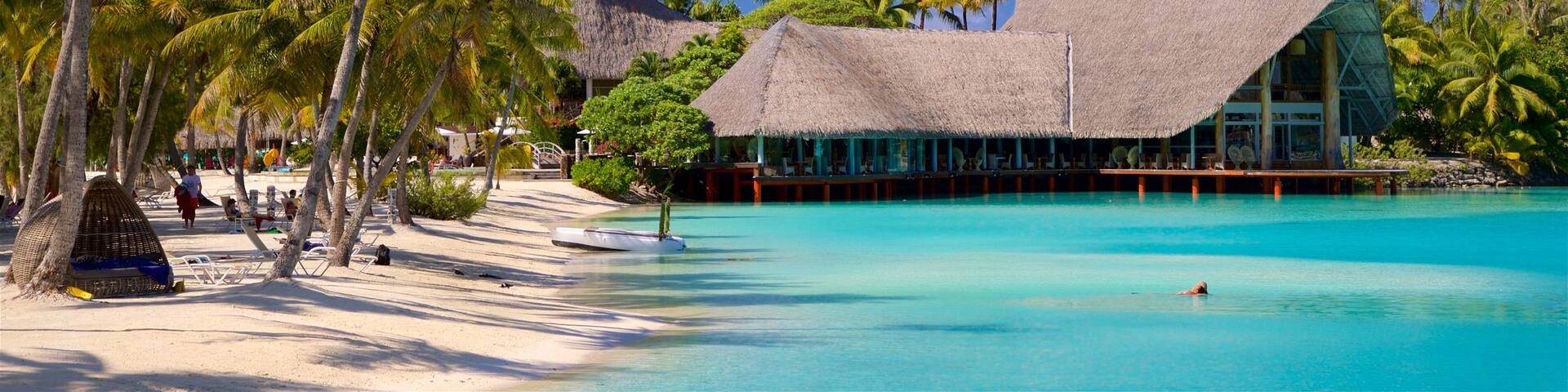 Strand des Le Meridien mit einem allgemeine Küstenansicht, Strand und tropische Szenerien