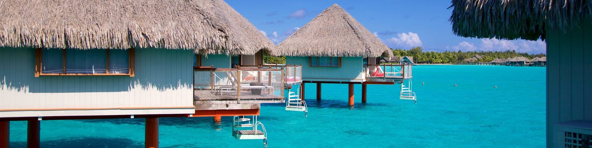 Le Meridien Beach featuring general coastal views and tropical scenes