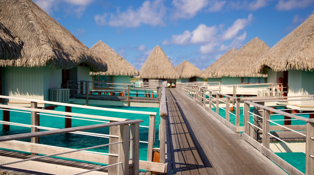 Le Meridien Beach showing tropical scenes