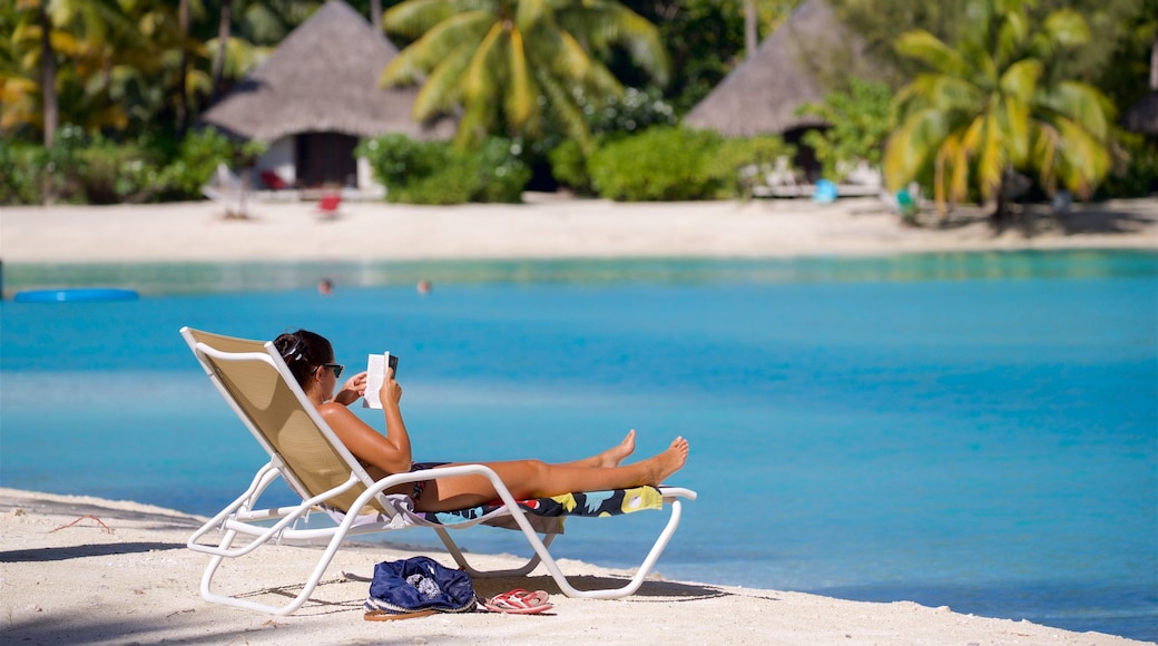 Strand des Le Meridien das einen Strand, allgemeine Küstenansicht und tropische Szenerien