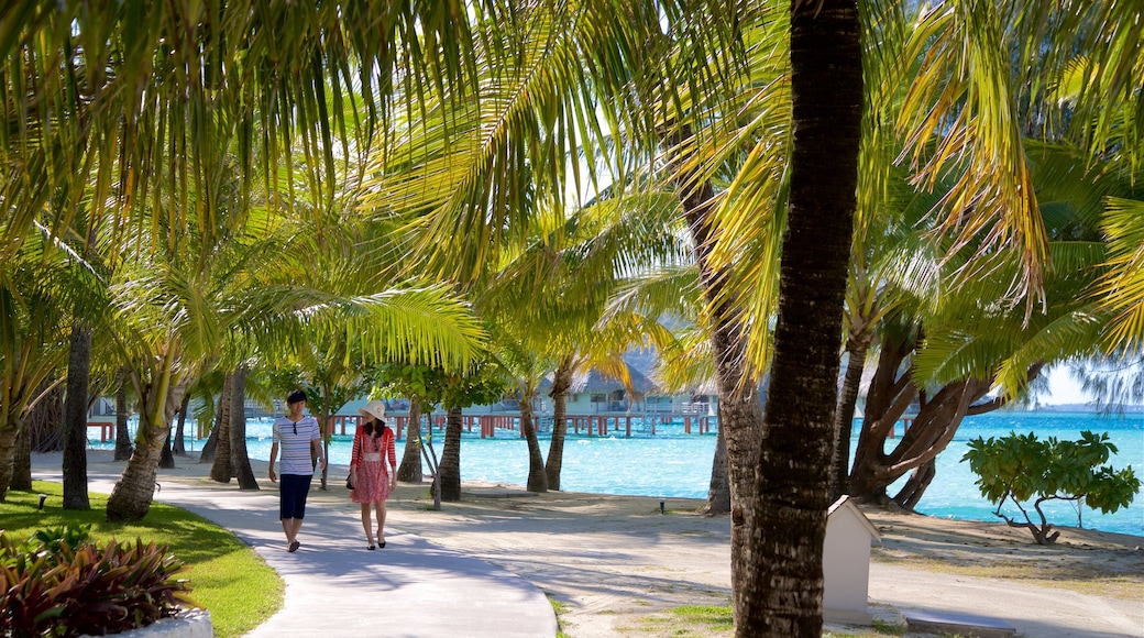 Le Meridien Beach som inkluderer tropisk landskap og kyst i tillegg til par