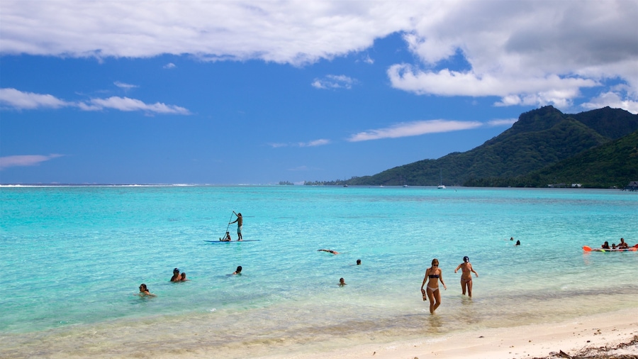 Temae Beach toont zwemmen, een strand en algemene kustgezichten