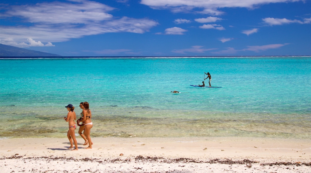 Temae Beach mit einem allgemeine Küstenansicht, Strand und Kajak- oder Kanufahren