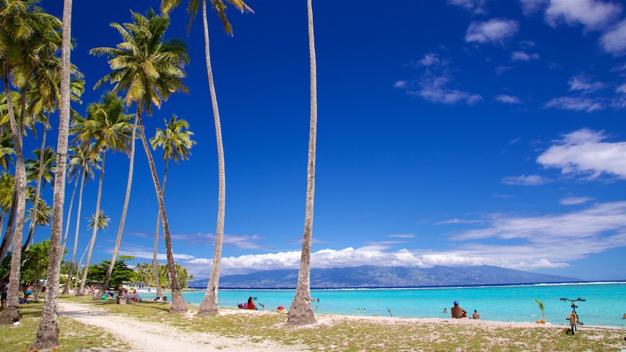 Temae Beach showing tropical scenes, a beach and general coastal views