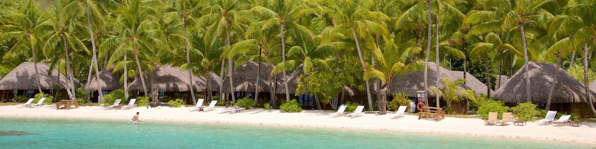 Sofitel Resort Beach showing tropical scenes, general coastal views and a beach