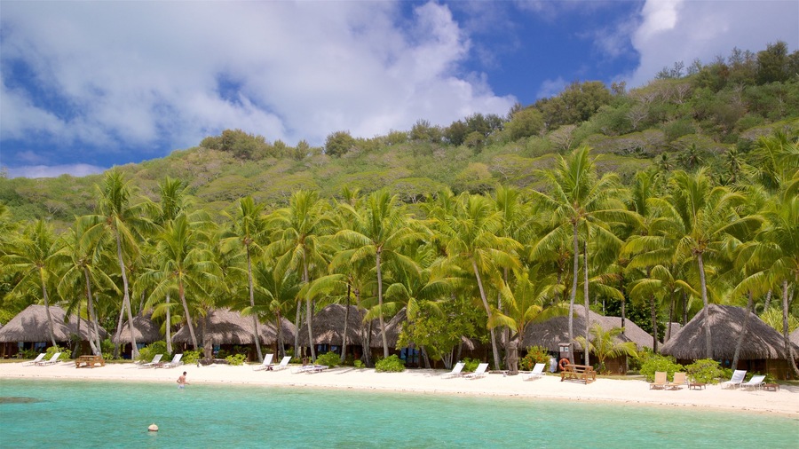 Sofitel Resort Beach which includes tropical scenes, a beach and general coastal views