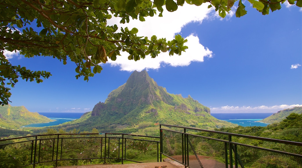 Belvedere Lookout which includes views, mountains and tranquil scenes