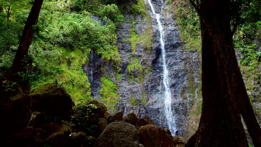 Watervallen van Faarumai inclusief een cascade