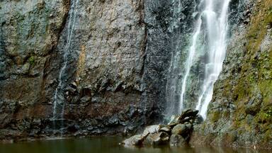 Faarumai Waterfalls featuring a waterfall