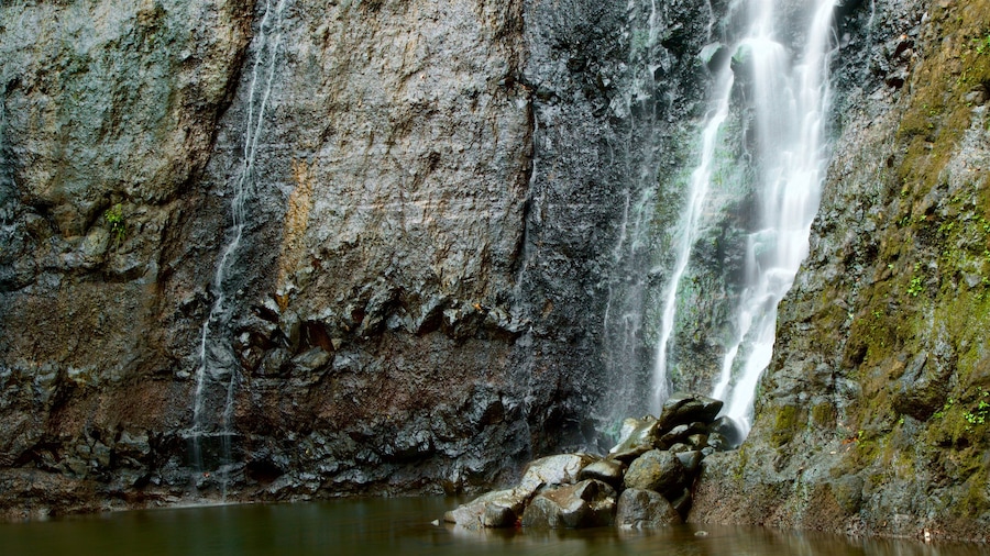 Faarumai Waterfalls featuring a waterfall
