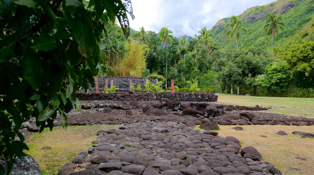 Marae Arahurahu Temple showing a garden and heritage elements