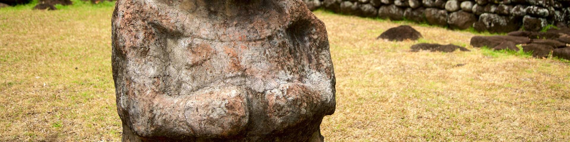 Marae Arahurahu Temple showing indigenous culture and a garden