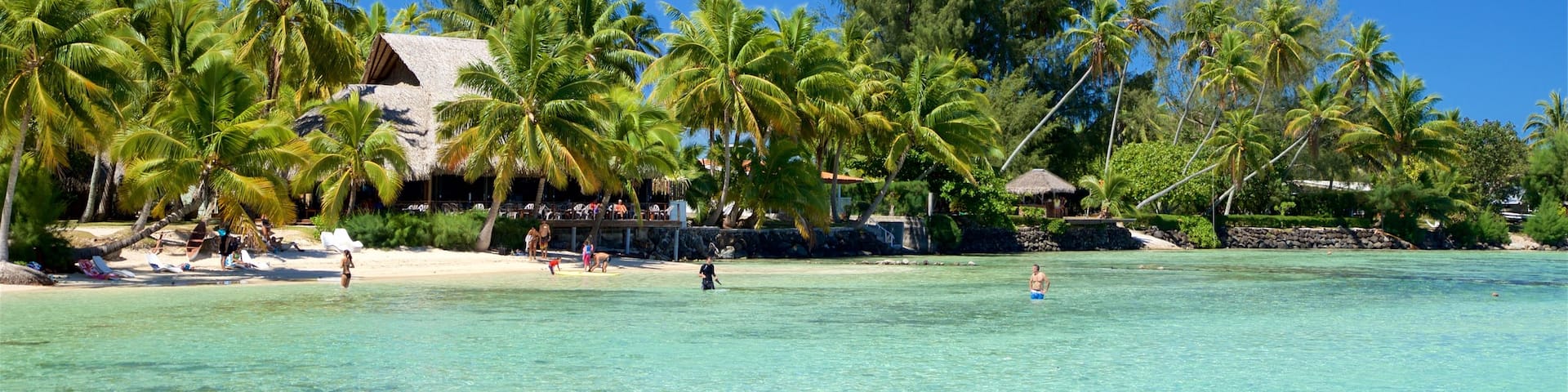 Tiahura Beach which includes tropical scenes and general coastal views