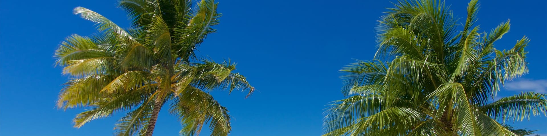 Plage de Tiahura qui includes vues littorales, plage et scĂšnes tropicales
