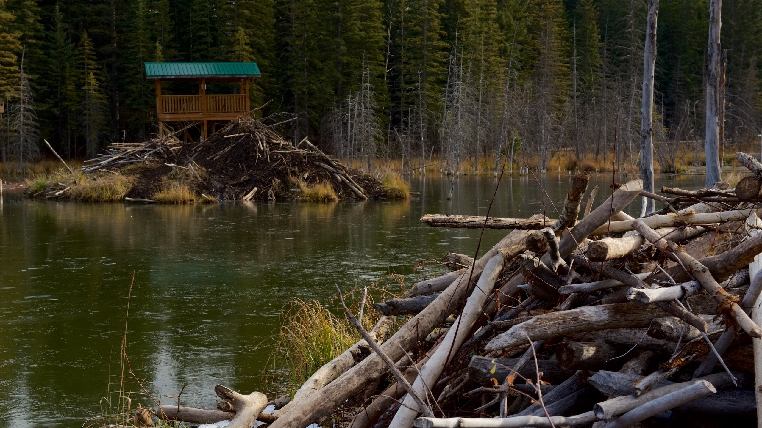 Visit Hinton Best of Hinton Tourism Expedia Travel Guide