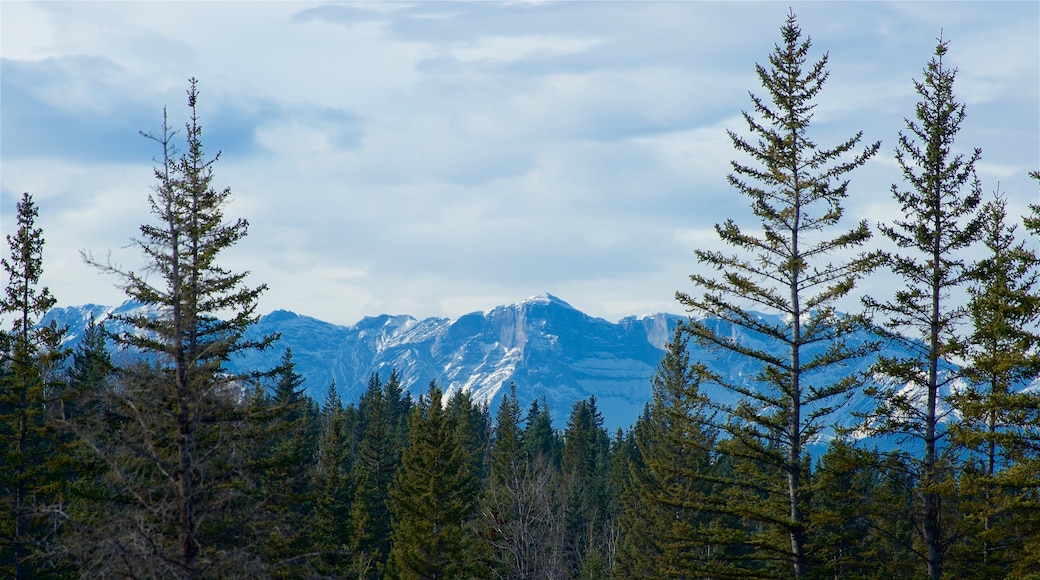 Hinton which includes mountains