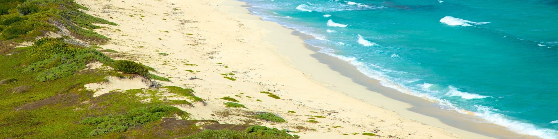 Punta Celerain Lighthouse featuring surf, a beach and general coastal views