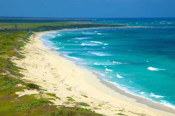 Phare de Punta Celerain qui includes vues littorales, vagues et plage