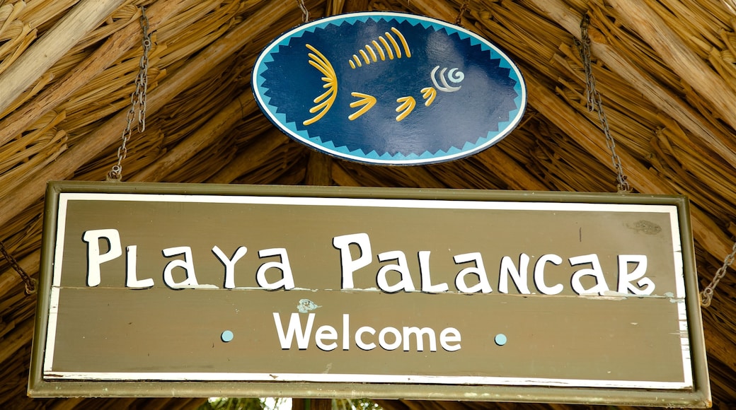 Playa Palancar which includes signage