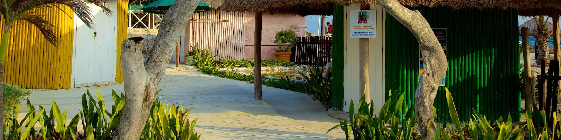 Punta Morena mettant en vedette signalisation et scènes tropicales