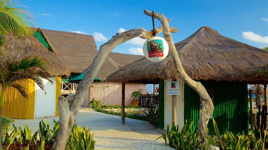 Punta Morena showing signage and tropical scenes