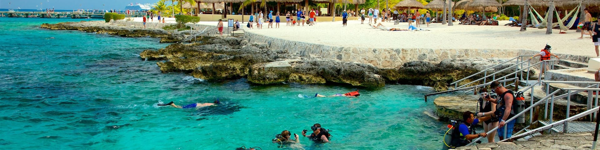 Cozumel featuring a beach, rocky coastline and tropical scenes