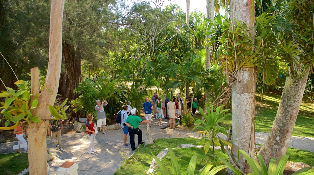 Ernest Hemingway Museum inclusief een park en ook een klein groepje mensen