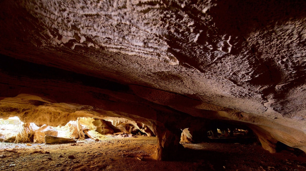 Varahicacos Ecological Reserve which includes caves