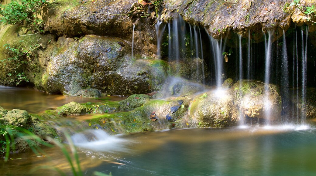 Arco Iris Waterfall presenterar ett vattenfall och en å eller flod