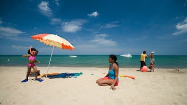 Indiana Dunes State Park showing general coastal views and a sandy beach as well as a family