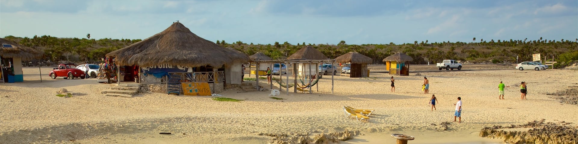 El Mirador qui includes scĂšnes tropicales, plage et vues littorales