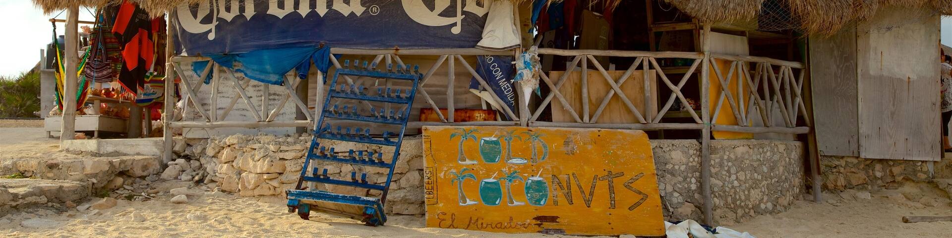 El Mirador showing signage and tropical scenes