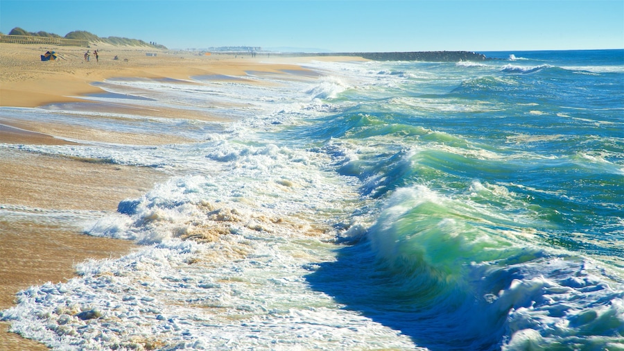 Costa Nova Beach featuring general coastal views, a beach and waves