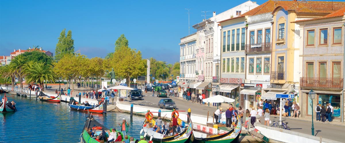 Aveiro que incluye paseos en lancha y una bahía o puerto