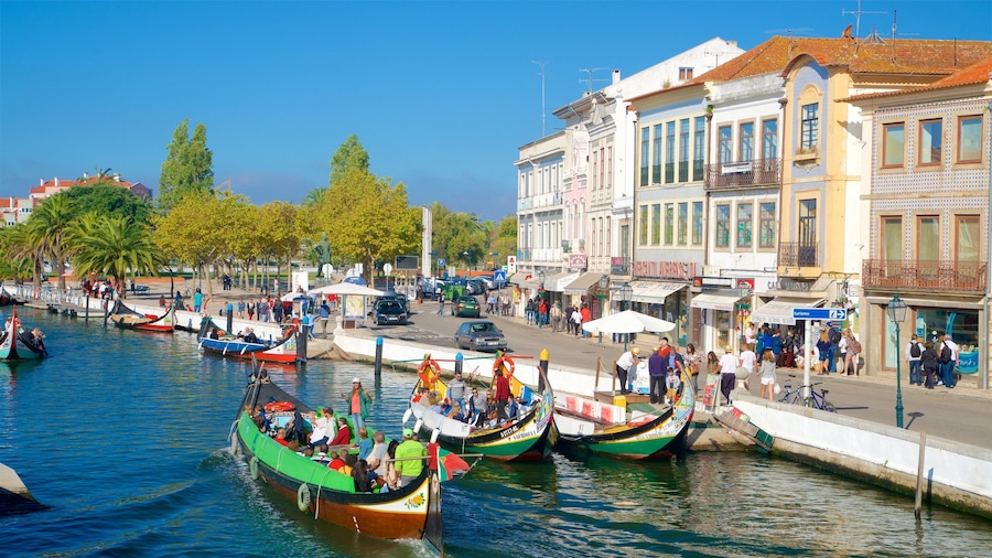Aveiro que incluye paseos en lancha y una bahía o puerto