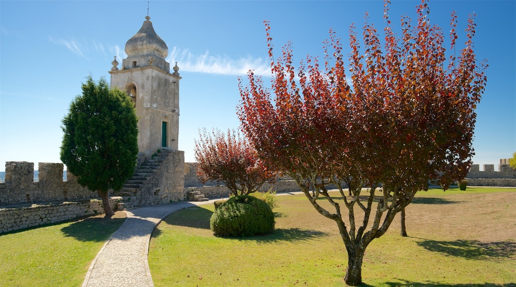 Castillo de Montemor-o-Velho ofreciendo elementos patrimoniales y un jardín