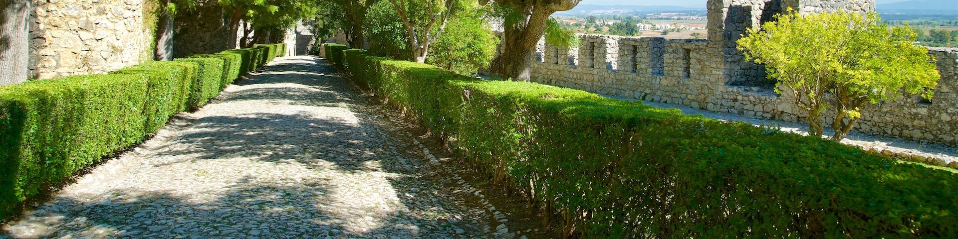 Montemor-o-Velho Castle which includes heritage elements and a garden