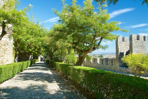 Montemor-o-Velho Castle mit einem Garten und Geschichtliches